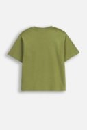 COCCODRILLO t-särgid EVERYDAY BOY A, roheline, ZC5143209VBA-012-110, 110 cm