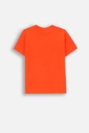 COCCODRILLO t-shirt GRUNGE SWAMP BOY KIDS, punased, ZC4143201GBK-009-122, 122 cm
