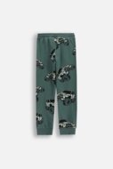 COCCODRILLO säärised WILD SAFARI BOY KIDS, roheline, WC5122101WBK-011-122, 122 cm