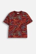 COCCODRILLO t-särgid EVERYDAY BOY A, värv, ZC5143208VBA-022-092, 92 cm