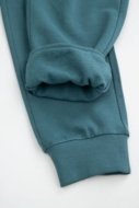 COCCODRILLO püksid EVERYDAY BOY A, roheline, ZC5120101VBA-011-104, 104 cm