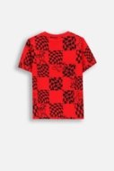 COCCODRILLO short sleeved t-shirt ACADEMY BOY KIDS, punased, ZC4143201ABK-009-092, 92 cm