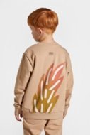 COCCODRILLO sweatshirt LICENCE BOY KOCIA SZAJKA, pruun, ZC4132101LBK-018-134, 134 cm