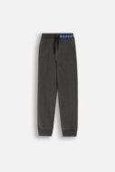 COCCODRILLO joggers FOREST FRIENDS JUNIOR, graphite, ZC4120201FBJ-020-164, 164 cm