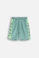 LEMON püksid ACTIVE BOY, roheline, WL5120502ACB-012-152, 152