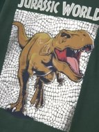 NAME IT JURASSIC WORLD t-särk, 13244991-3E524B 116 cm