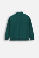 COCCODRILLO pullover with zipper ACADEMY BOY JUNIOR, roheline, ZC4132202ABJ-011-164, 164 cm
