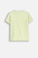 COCCODRILLO lühikeste varrukatega t-särk, kollased, WC6143205NBJ-004-152