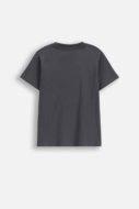 COCCODRILLO lühikeste varrukatega t-särk, graphite, cm