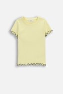 COCCODRILLO lühikeste varrukatega t-särk, kollased, cm
