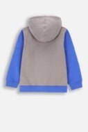 COCCODRILLO sweatshirt FOREST FRIENDS KIDS, multicoloured, ZC4132602FBK-022-122, 122 cm