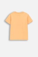 COCCODRILLO lühikeste varrukatega t-särk, oranžid, WC6143202HBK-005-116, 116 suurus