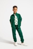 COCCODRILLO joggers ACADEMY BOY JUNIOR, roheline, ZC4120103ABJ-011-164, 164 cm