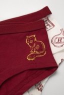 COCCODRILLO panties PANTS, värviline, 2tk., ZC3406502LGH-022-164, 164 cm
