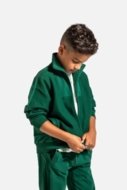 COCCODRILLO pullover with zipper ACADEMY BOY JUNIOR, roheline, ZC4132202ABJ-011-164, 164 cm