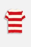 COCCODRILLO long sleeved t-shirt ACADEMY BOY JUNIOR, punased, ZC4143201ABJ-009-152, 152 cm