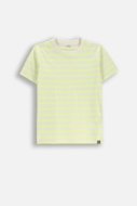 COCCODRILLO lühikeste varrukatega t-särk, kollased, WC6143205NBJ-004-152