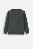 COCCODRILLO sweatshirt LICENCE BOY DISNEY, roheline, ZC4132101LBD-011-122, 122 cm