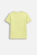 COCCODRILLO lühikeste varrukatega t-särk, kollased, cm