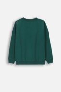 COCCODRILLO long sleeved t-shirt ACADEMY BOY KIDS, rohelised, ZC4143103ABK-011-122, 122 cm