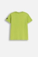 COCCODRILLO t-särk SPORTS BOY JUNIOR, roheline, cm