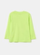 OVS pikkade varrukatega t-särk, rohelised, , 001969046