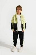 COCCODRILLO sweatshirt WORLD OF PIXEL BOY KIDS, multicoloured, ZC4132402WBK-022-122, 122 cm