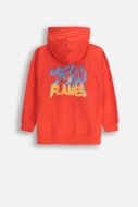 COCCODRILLO kapuutsiga kampsun DRAGONS BOY JUNIOR, punane, WC5132402DBJ-009-164, 164 cm