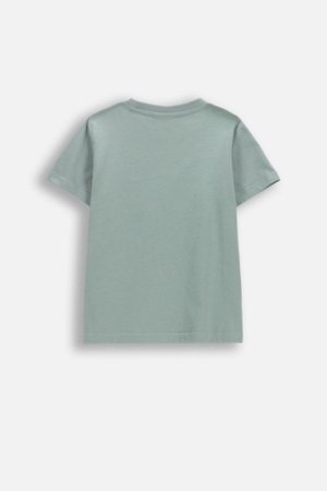 COCCODRILLO lühikeste varrukatega t-särk, rohelised, cm 