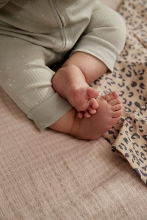 NEXT pükskostüüm, 3tk., K79474 80-86 