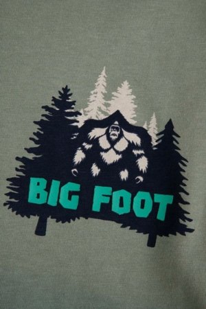 COCCODRILLO t-särk, rohelised, cm 