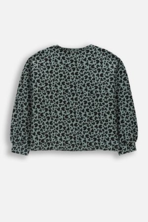 COCCODRILLO pusa, roheline, cm 