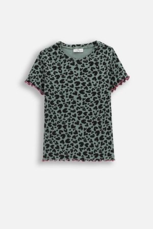 COCCODRILLO lühikeste varrukatega t-särk, mitmevärviline, WC6143202RGJ-011-140, 140 cm 