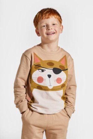 COCCODRILLO sweatshirt LICENCE BOY KOCIA SZAJKA, pruun, ZC4132101LBK-018-134, 134 cm 