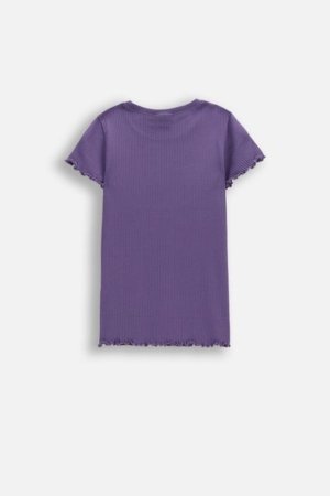 COCCODRILLO lühikeste varrukatega t-särk, lillad, cm 