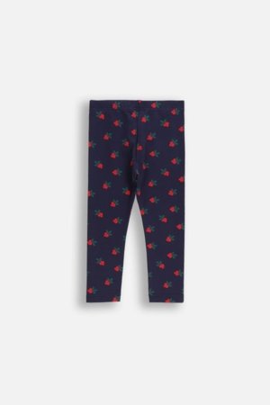 COCCODRILLO retuusid, sinine, cm 