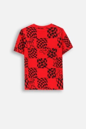 COCCODRILLO short sleeved t-shirt ACADEMY BOY KIDS, punased, ZC4143201ABK-009-092, 92 cm 
