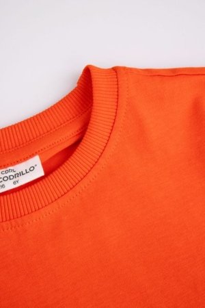 COCCODRILLO t-shirt LICENCE BOY, punased, ZC4143203LBD-009-122, 122 cm 