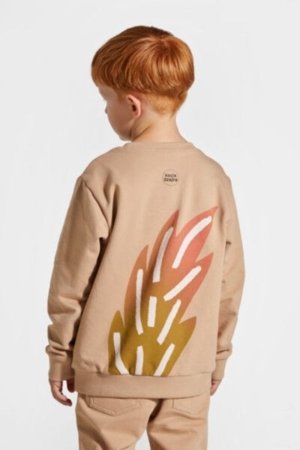 COCCODRILLO sweatshirt LICENCE BOY KOCIA SZAJKA, pruun, ZC4132101LBK-018-134, 134 cm 