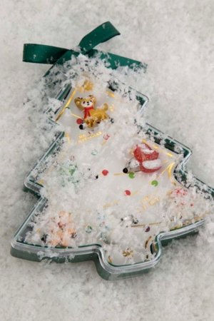 COCCODRILLO ehteid, värvilised, ZC5322201MER-022-000 