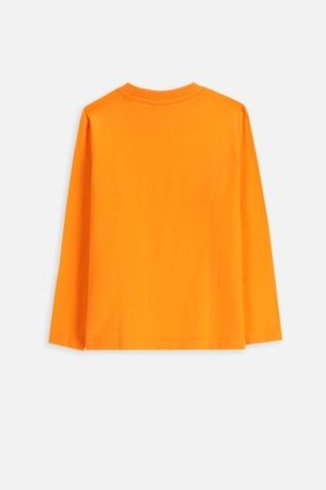 COCCODRILLO t-särgid EVERYDAY BOY A, oranž, cm 