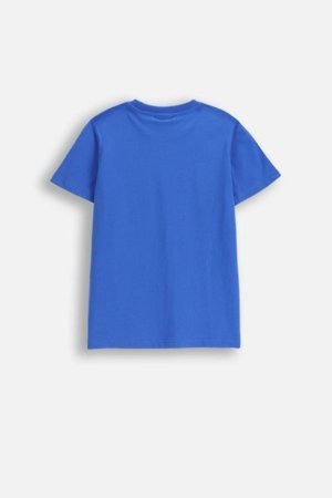 COCCODRILLO t-särgid EVERYDAY BOY A, sinine, cm 