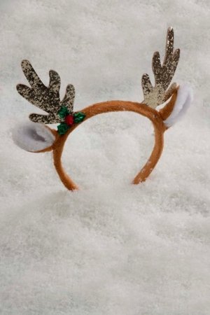 COCCODRILLO peavõru, värviline, ZC5311907MER-022-000 