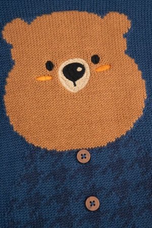 COCCODRILLO kampsun FOREST FRIENDS BOY NEWBORN, sinine, ZC5172101FBN-015-086, 86 cm 