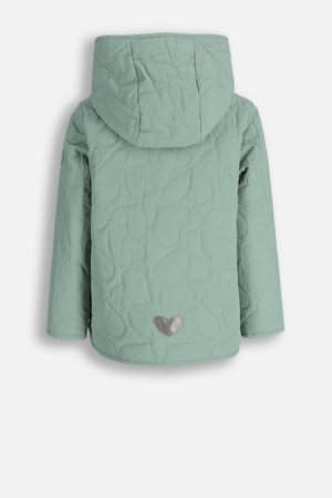 COCCODRILLO jope, roheline, cm 