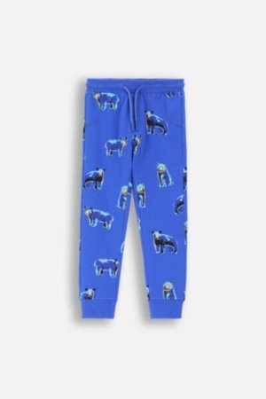COCCODRILLO leggings FOREST FRIENDS KIDS, cobalt, ZC4122701FBK-032-122, 122 cm 