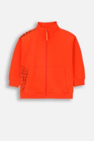 COCCODRILLO sweatshirt GRUNGE SWAMP BOY KIDS, punane, ZC4132201GBK-009-122, 122 cm 