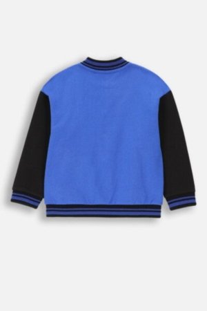 COCCODRILLO sweatshirt FOREST FRIENDS KIDS, multicoloured, ZC4132601FBK-022-122, 122 cm 