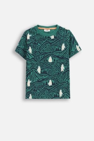 COCCODRILLO t-särk, mitmevärviline, cm 