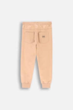 COCCODRILLO joggers LICENCE BOY KOCIA SZAJKA, pruunid, ZC4120101LBK-018-134, 134 cm 